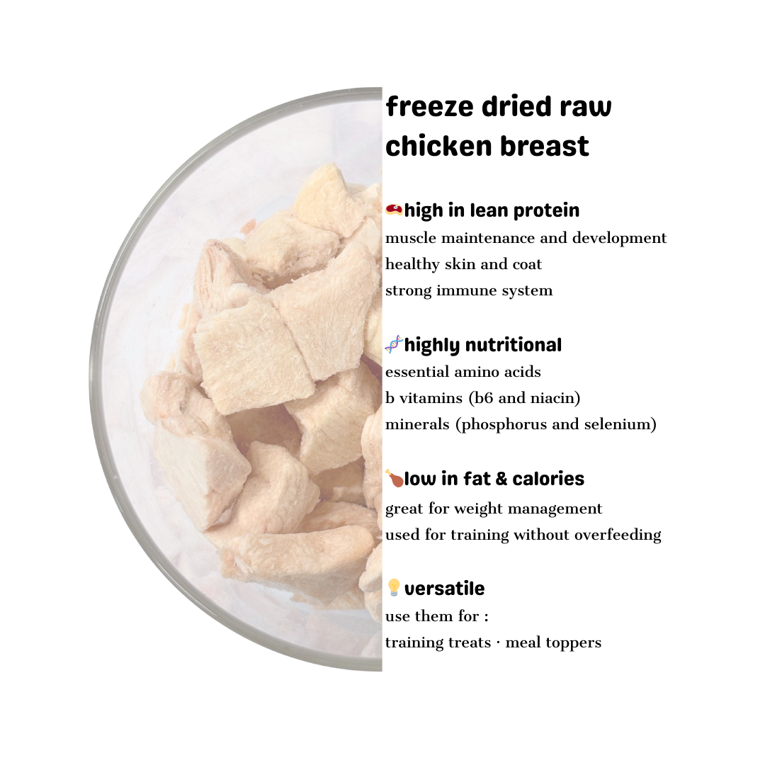 Chicken Breast - Freeze Dried Raw Treat 100g