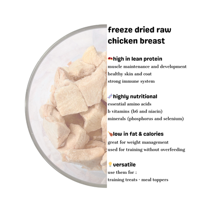Chicken Breast - Freeze Dried Raw Treat 100g