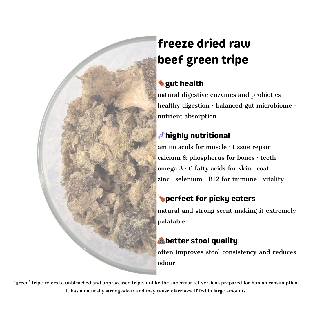 Beef Green Tripe - Freeze Dried Raw Treat 100g