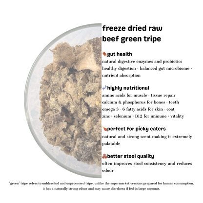 Beef Green Tripe - Freeze Dried Raw Treat 100g