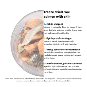 Salmon with Skin - Freeze Dried Raw Treat 100g